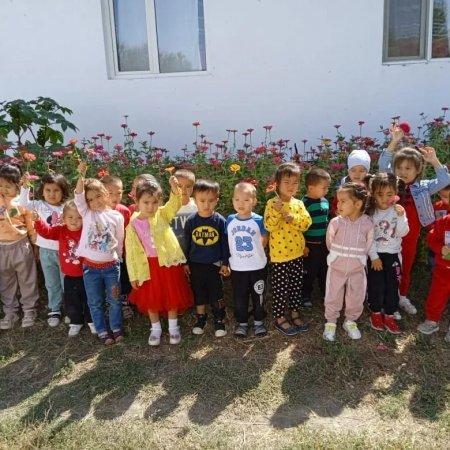 Серуен гүлдерді бақылау